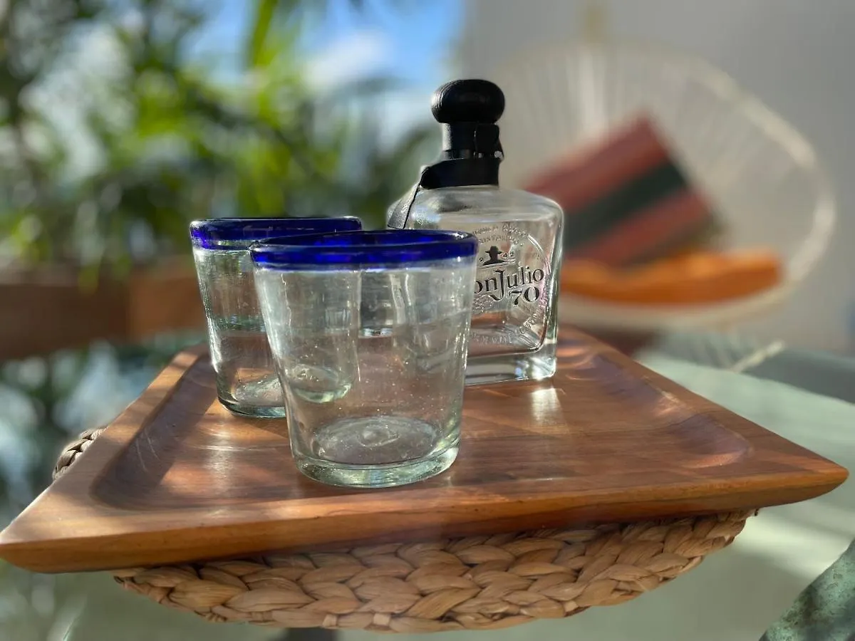 Family Apartments Near Beach Polo88 بلايا ديل كارمن 0*,  المكسيك