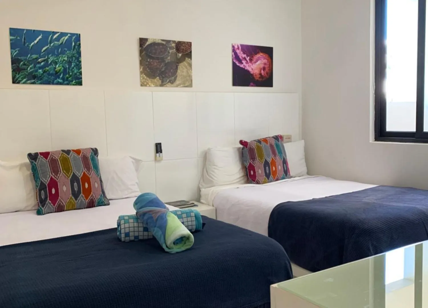 Family Apartments Near Beach Polo88 بلايا ديل كارمن 0*,